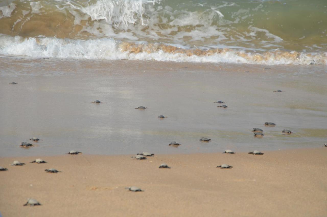 Turtle Beach House Vengurla Buitenkant foto